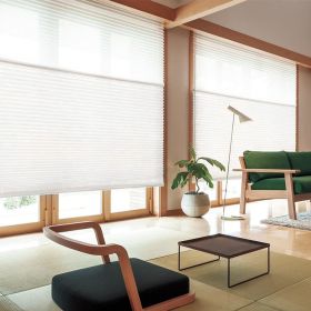 WELLSOURCE Manual Cordless Day and Night Cellular Shades Non Blackout Light Filtering Honeycomb Fabric for Home, Office, Hotel, Club, Restaurant Custo (Color: White, size: CONTACT US)